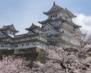 Japan03